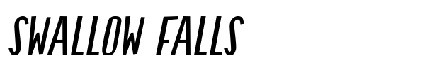 Swallow Falls font preview